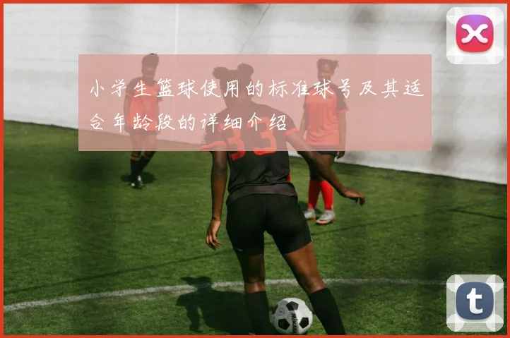 小学生篮球使用的标准球号及其适合年龄段的详细介绍