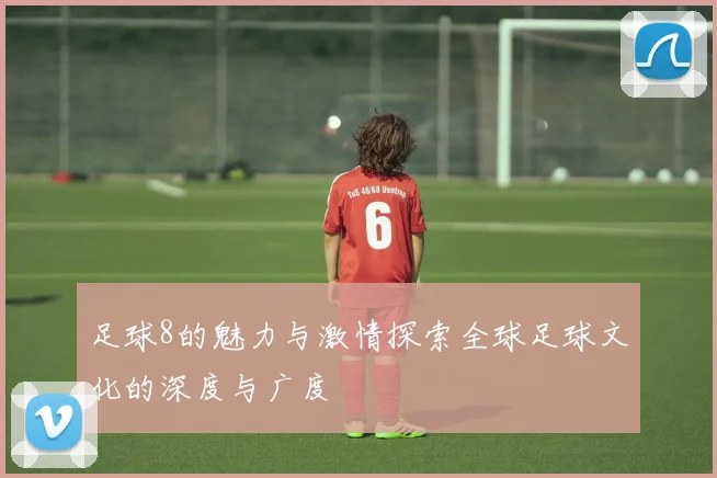 足球8的魅力与激情探索全球足球文化的深度与广度
