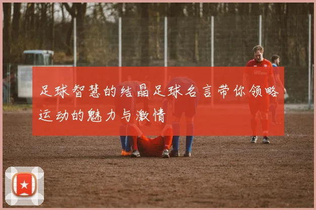 足球智慧的结晶足球名言带你领略运动的魅力与激情
