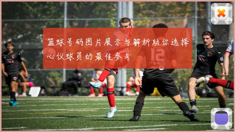 篮球号码图片展示与解析助你选择心仪球员的最佳参考