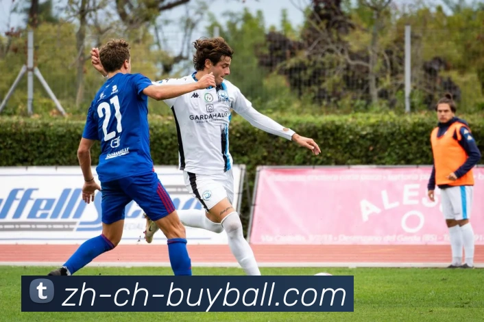 买球平台APP 体育赛事宣传图